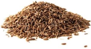 Raw Cumin Seeds