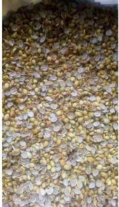 Scooter Split Coriander Seeds