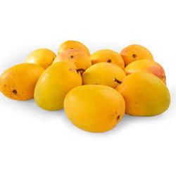 Alphonso Mango