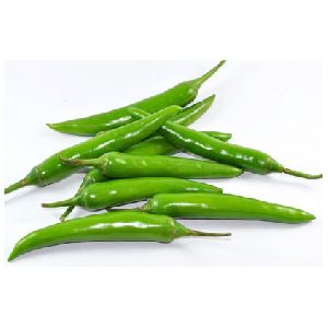 Fresh Green Chilli