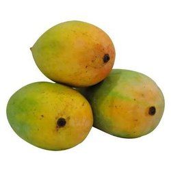 kesar mango