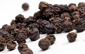 Hybrid Black Pepper