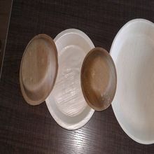 eco friendly areca leaf plate