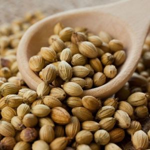 Whole Coriander Seeds