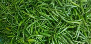 Fresh Green Chilli