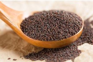 Brown Mustard Seeds