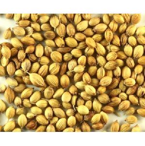 pure coriander seeds