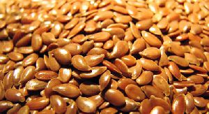 Golden Flax Seeds