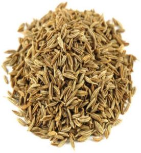 Raw Cumin Seeds