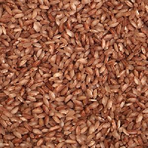 Raw Brown Rice