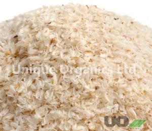 Psyllium