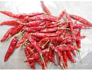 Indian Dried Red Chilli