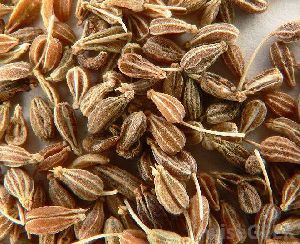 Organic Anise Seed