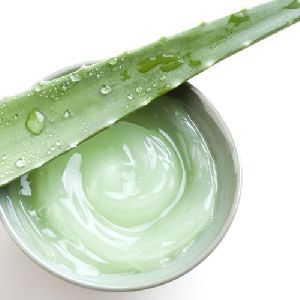 Fresh Aloe Vera Pulp