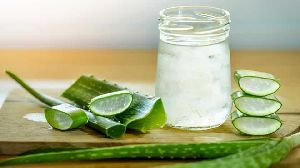 Fresh Natural Aloe Vera Pulp