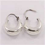 ISJER0089 Silver Earring