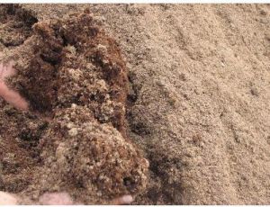 Organic Cow Manure