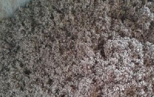 Raw Cotton Seed Hull