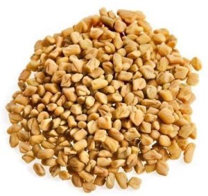 Natural Fenugreek Seeds