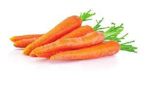 Fresh Carrot