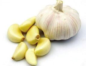 Fresh Garlic