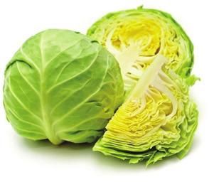 Fresh Green Cabbage