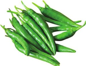 Fresh Green Chilli