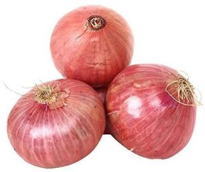 Fresh Natural Onion