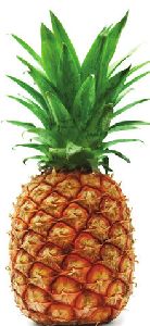 Fresh Pineapple