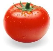 Fresh Red Tomato