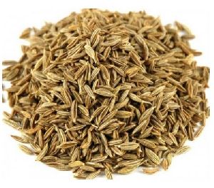 Cumin Seeds