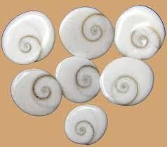 Gomti Chakra