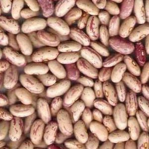 Kidney Beans