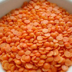 Masoor Dal