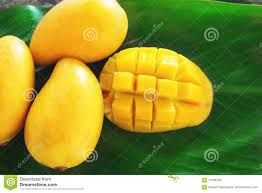 Mango Ripe