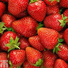 Fresh Strawberry