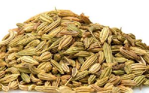 Big Fennel Seeds