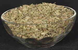 dried fennel seeds