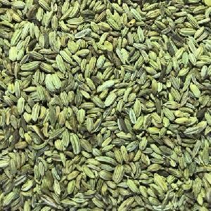 green fennel seeds