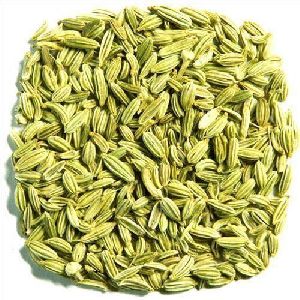 raw fennel seeds