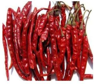 Kashmiri Dry Red Chilli