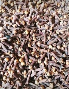 Dry Cloves