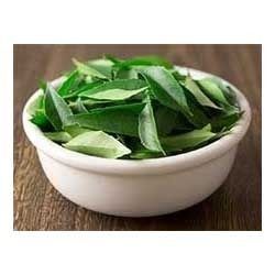 Fresh Curry Leaves