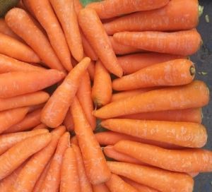 Fresh Carrot