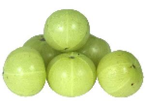 Fresh Gooseberry