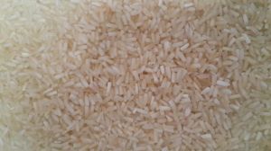 Broken Sella Non Basmati Rice