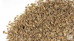 Dried Dill Seeds