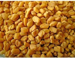 dried fenugreek seeds