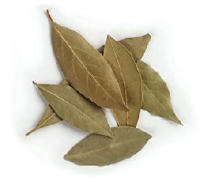 Organic Bay Leaves