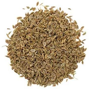 Organic Dill Seeds